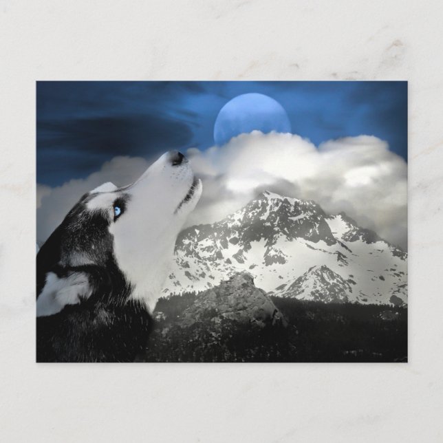 Beautiful Husky Holiday Postcard (Front)