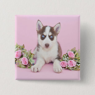 Beautiful Husky Puppy with Pink Roses 2 Inch Square Button