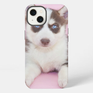 Beautiful Husky Puppy with Pink Roses iPhone 13 Case