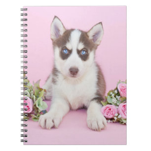 Beautiful Husky Puppy with Pink Roses Notebook