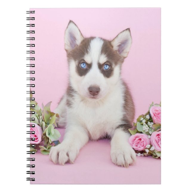 Beautiful Husky Puppy with Pink Roses Notebook (Front)