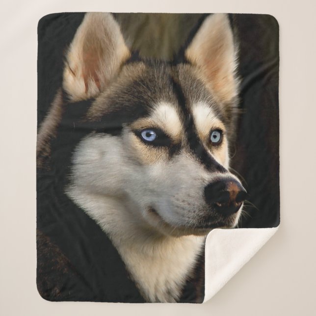 Beautiful Husky Throw Pillow (Front)