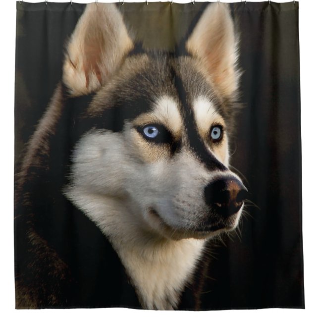 Beautiful Husky Throw Pillow (Front)