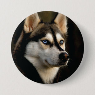 Beautiful Husky Throw Pillow 3 Inch Round Button