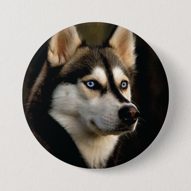 Beautiful Husky Throw Pillow 3 Inch Round Button (Front)