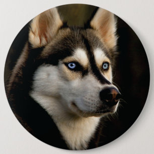 Beautiful Husky Throw Pillow 6 Inch Round Button