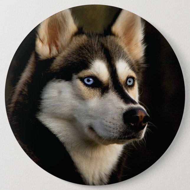 Beautiful Husky Throw Pillow 6 Inch Round Button (Front)