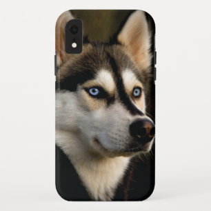 Beautiful Husky Throw Pillow iPhone XR Case