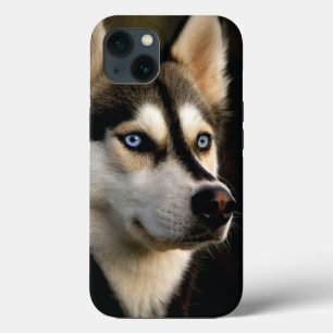 Beautiful Husky Throw Pillow iPhone 13 Case