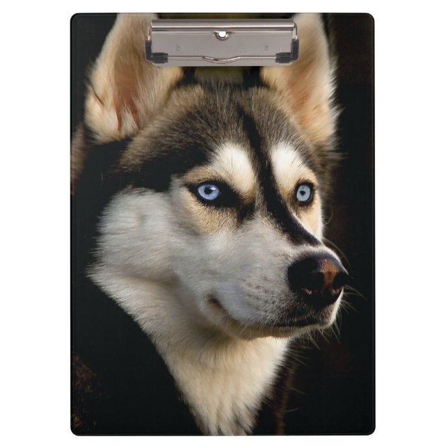 Beautiful Husky Throw Pillow Clipboard (Front)