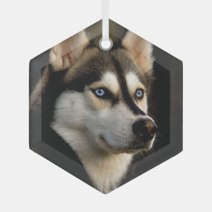 Beautiful Husky Throw Pillow Glass Ornament