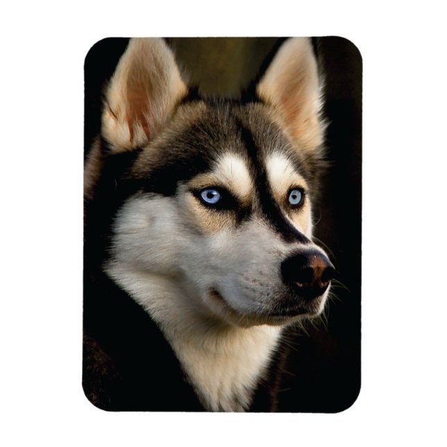 Beautiful Husky Throw Pillow Magnet (Vertical)