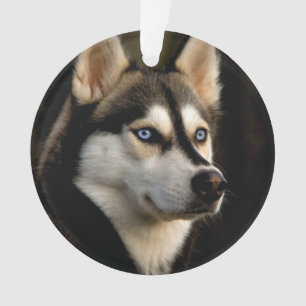 Beautiful Husky Throw Pillow Ornament