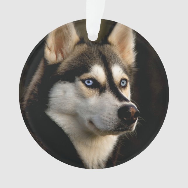 Beautiful Husky Throw Pillow Ornament (Front)