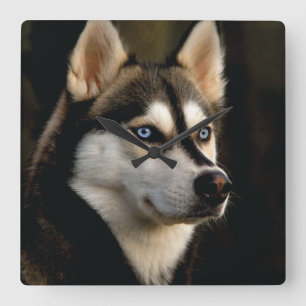 Beautiful Husky Throw Pillow Square Wall Clock