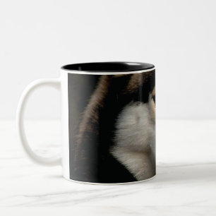 Beautiful Husky Throw Pillow Two-Tone Coffee Mug