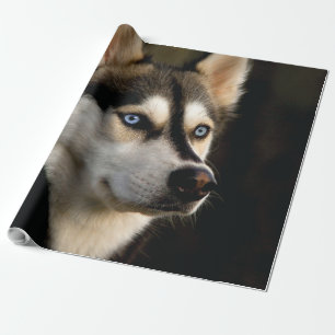 Beautiful Husky Throw Pillow Wrapping Paper