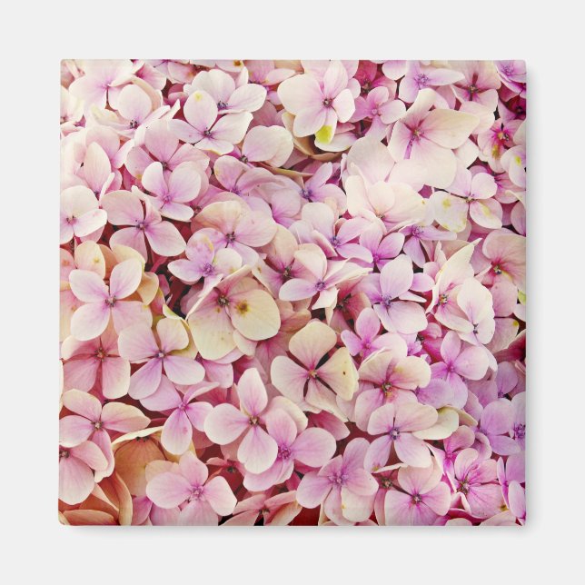 Beautiful Hydrangea Flowers Magnet (Front)