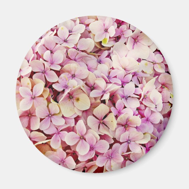 Beautiful Hydrangea Flowers Magnet (Front)