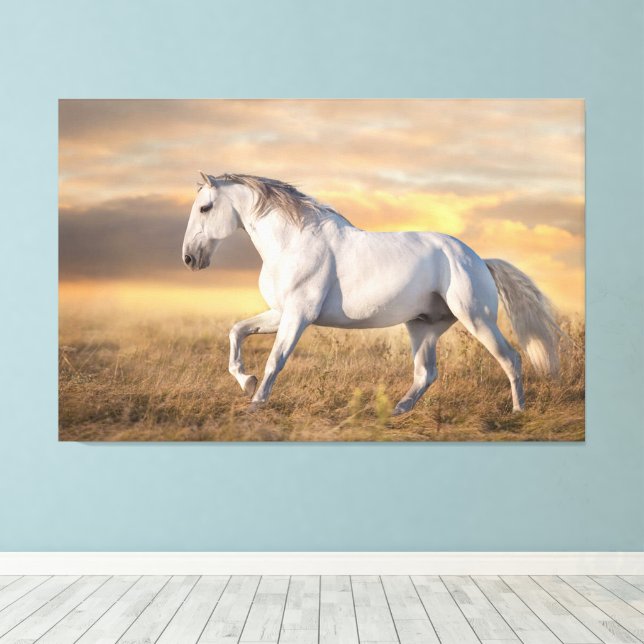 Beautiful Iberian Horse in the Meadow at Sunset Canvas Print (Insitu(Wood Floor))