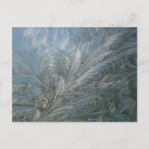 Beautiful Ice Flower DIY Postcard