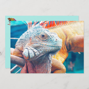 Beautiful iguana Flat Card