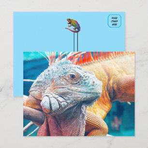 Beautiful iguana Postcard