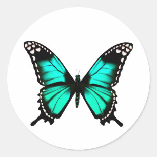 Beautiful illustrated Butterfly  Classic Round Sti Classic Round Sticker