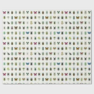 Beautiful insect collection watercolor style bugs  wrapping paper