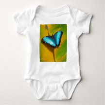 Beautiful Iridescent Butterfly
