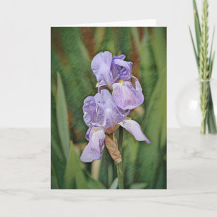 Beautiful Iris Flowers Impressionism Art Note Card