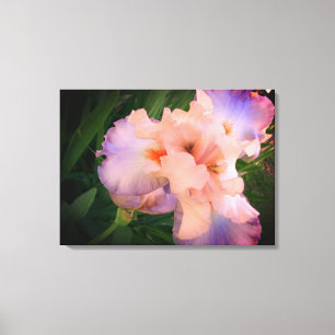 Beautiful Iris on canvas Print