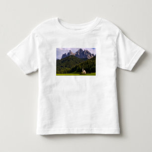 Beautiful isolated lonely church called Rainui 2 Toddler T-shirt
