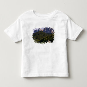 Beautiful isolated lonely church called Rainui 2 Toddler T-shirt
