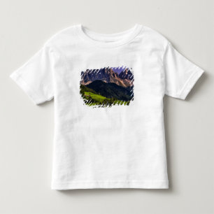 Beautiful isolated lonely church St Maddalena Toddler T-shirt
