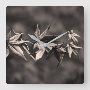 Beautiful Japanese Maple Leaf Portrait Sepia Square Wall Clock