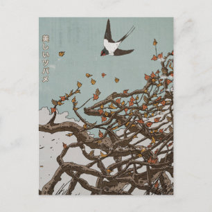 Beautiful Japanese Swallow  Postcard