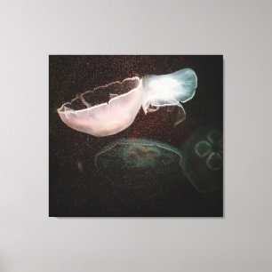 Beautiful Jellyfish Canvas Print