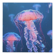 Beautiful Jellyfish