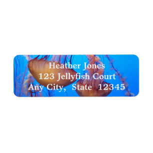 Beautiful Jellyfish Labels