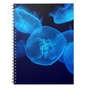 BEAUTIFUL JELLYFISH NOTEBOOK