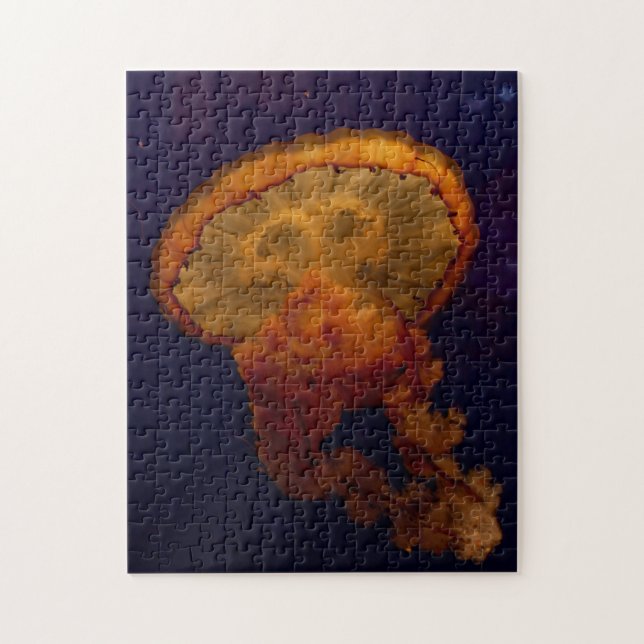 Beautiful Jellyfish Photo Puzzle (Vertical)
