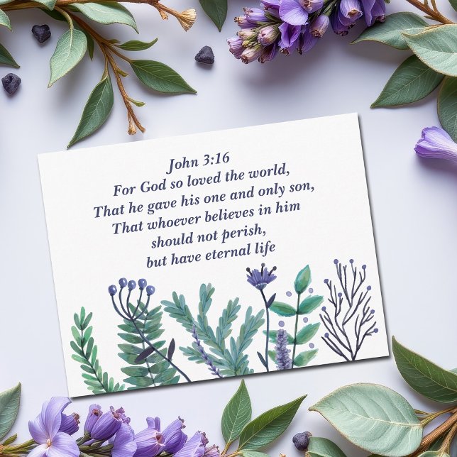 Beautiful John 3:16 Bible Verse Christian Holiday Postcard (Creator Uploaded)