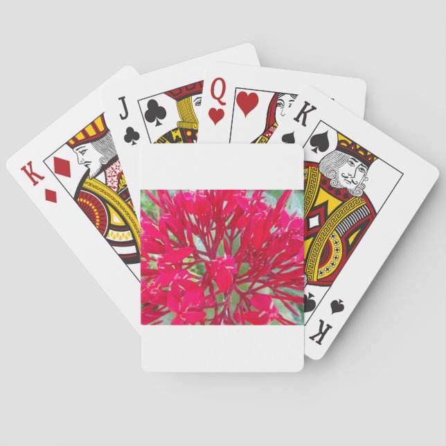 Beautiful Kaleidoscope of Colourful Red Milkweed  Playing Cards (Back)