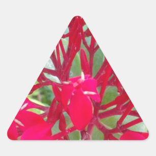 Beautiful Kaleidoscope of Colourful Red Milkweed Triangle Sticker