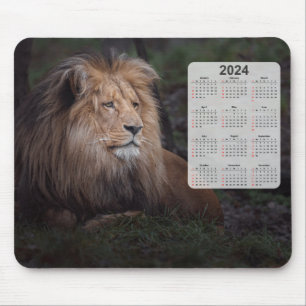Beautiful Katanga Lion 2024 Calendar Mouse Pad