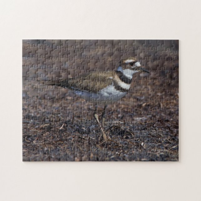 Beautiful Killdeer at the Beach Jigsaw Puzzle (Horizontal)