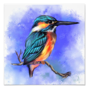 Beautiful Kingfisher Bird Photo Print