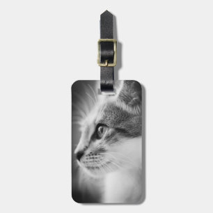 Beautiful Kitten Luggage Tag