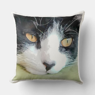Beautiful Kitten with Tender Look Throw Pillow